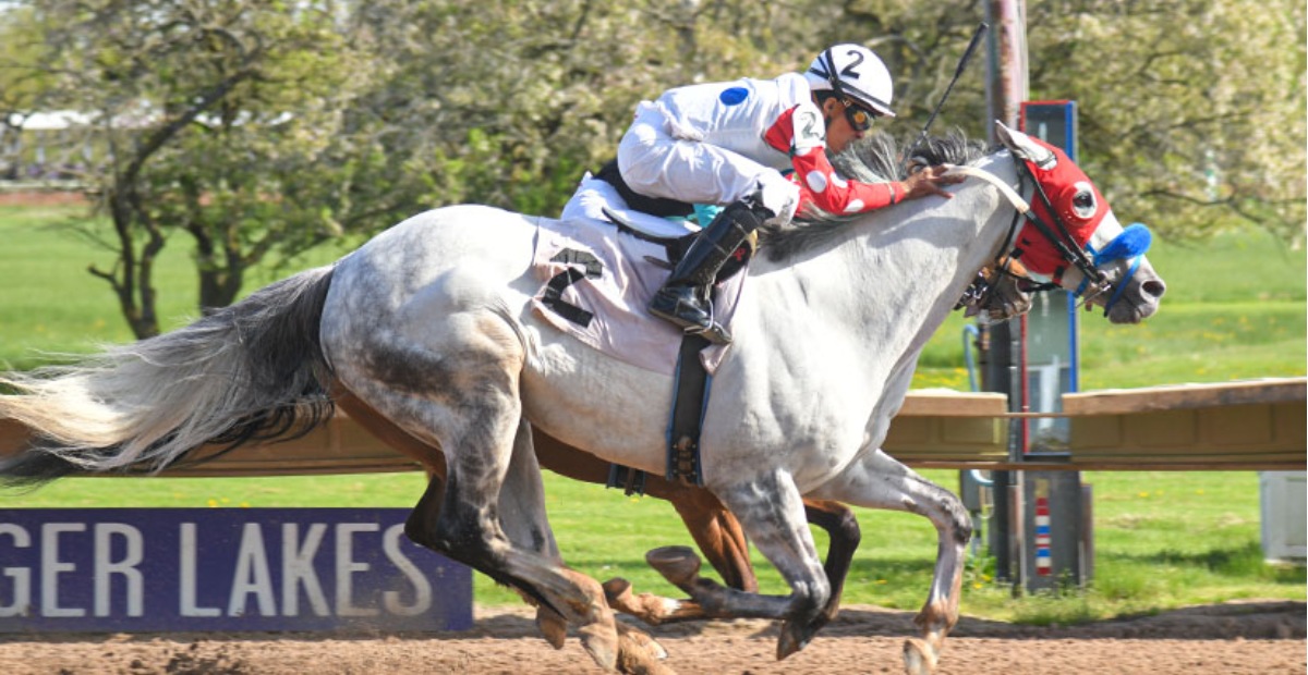 Datos finger lakes: Hipismo internacional en vivo hoy MasterBets365.com