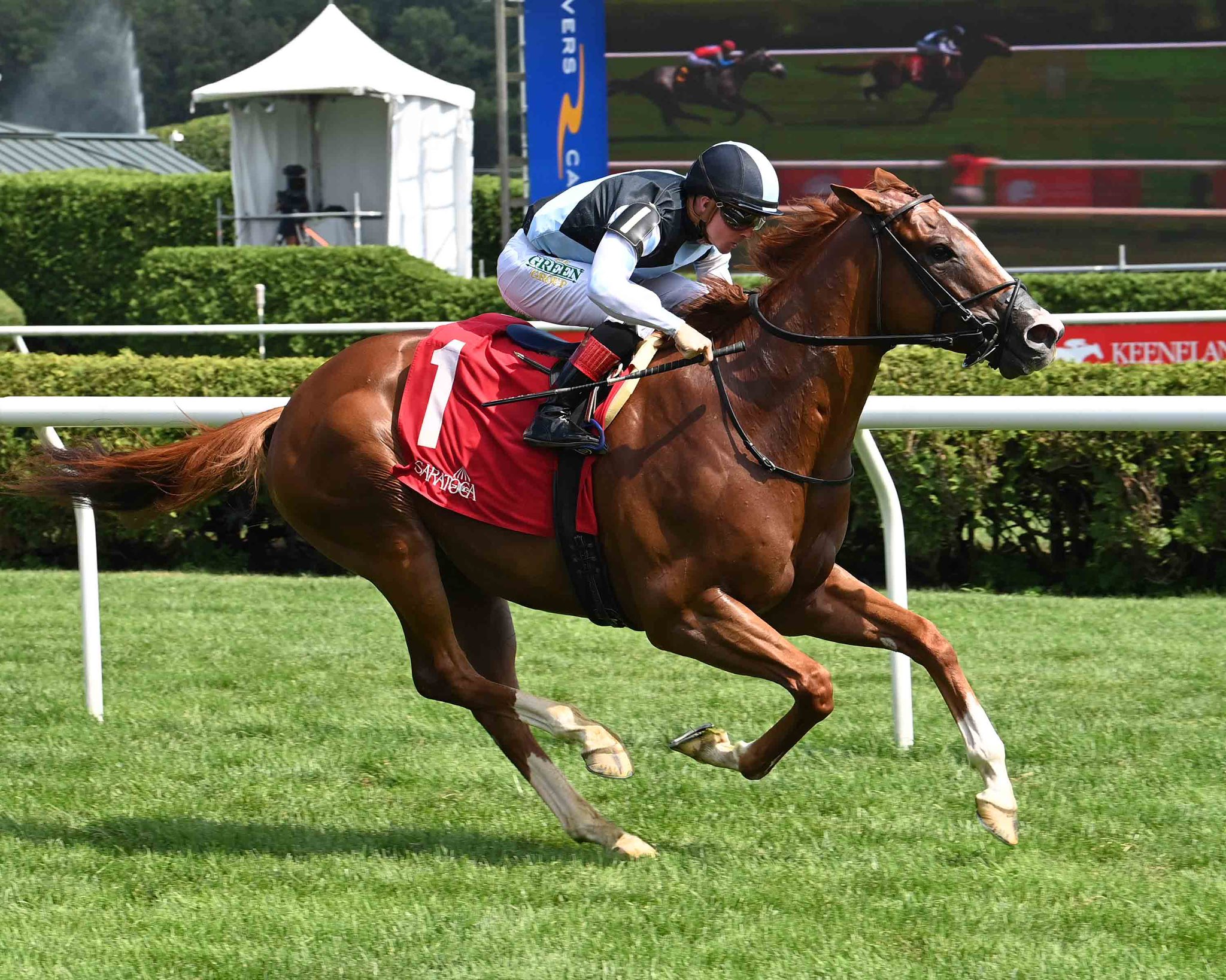 Carreras de Saratoga hoy: Quick picks americanas MasterBets365.com