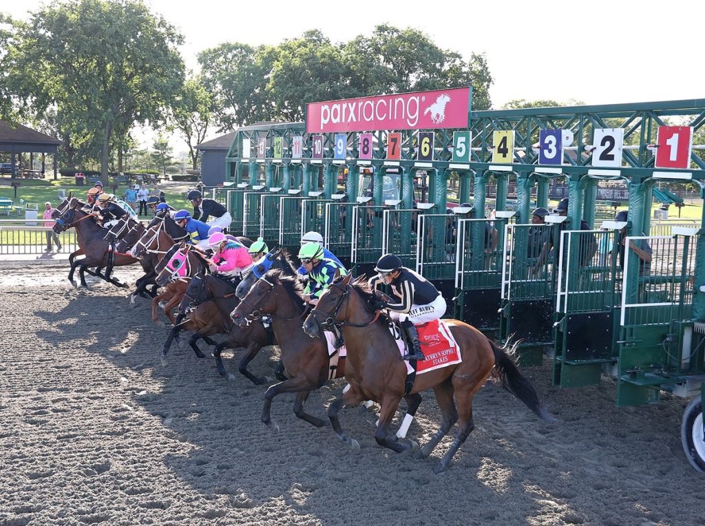 Datos parx racing hoy: Resultados de las carreras americanas de hoy MasterBets.com