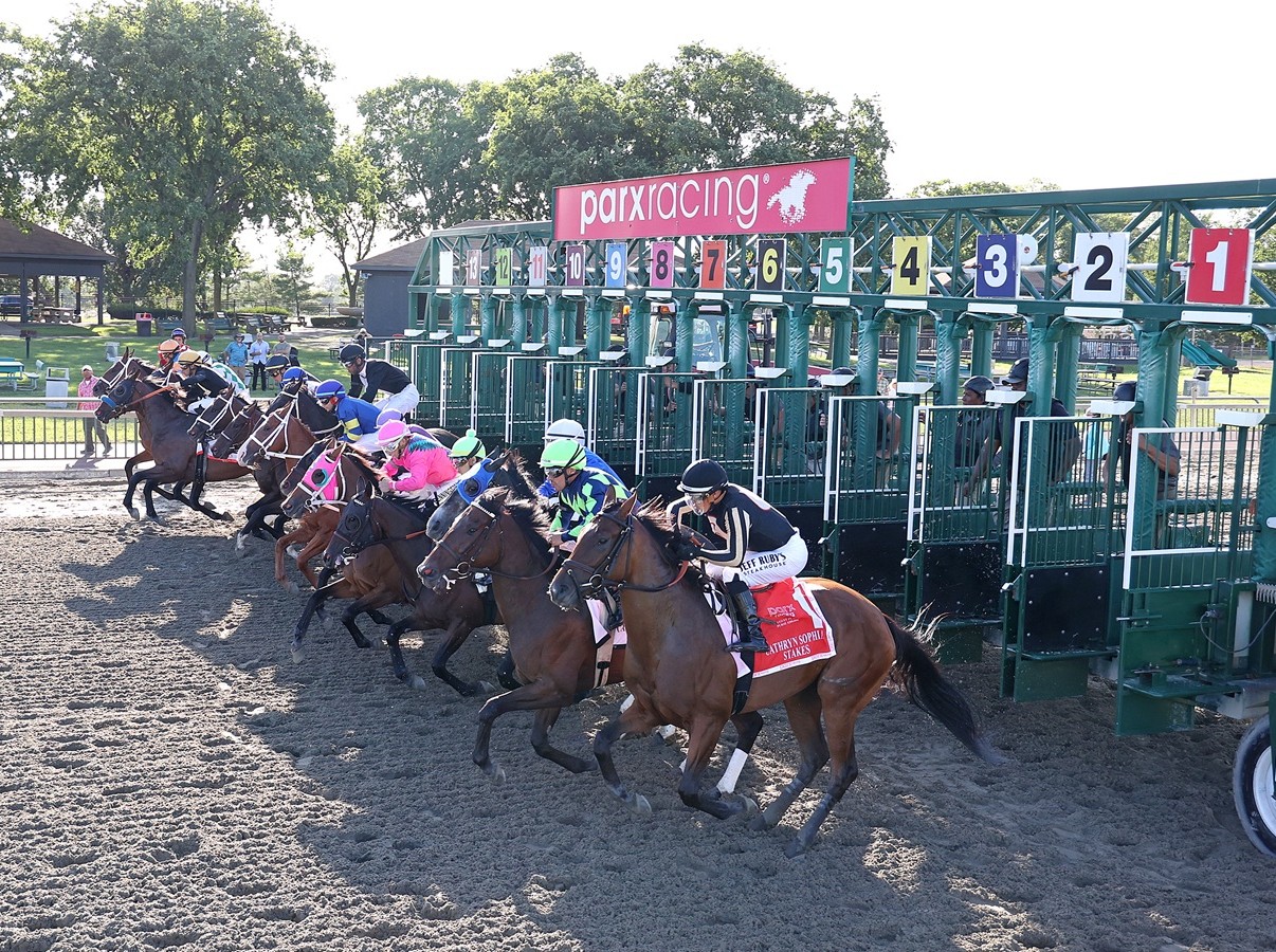 Datos parx racing hoy: Resultados de las carreras americanas de hoy MasterBets.com