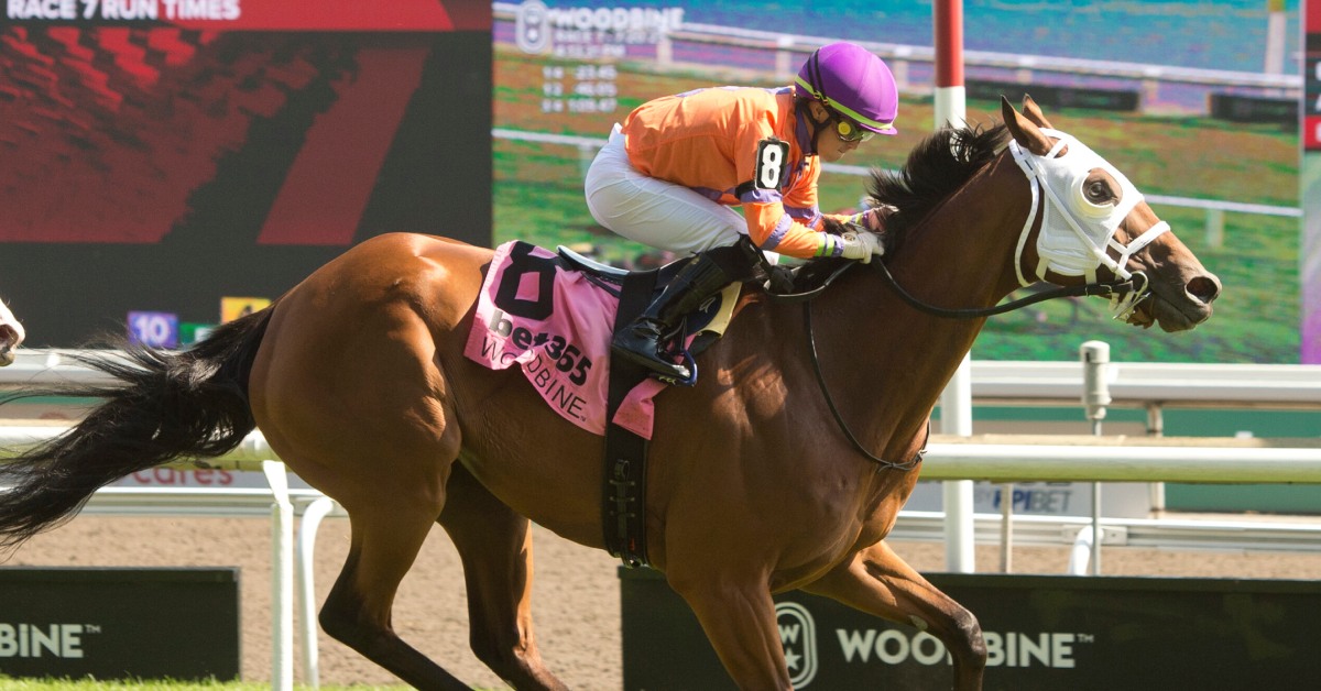 Datos de Woodbine hoy 25 de Octubre MasterBets365 carreras de caballos pronosticos internacionales