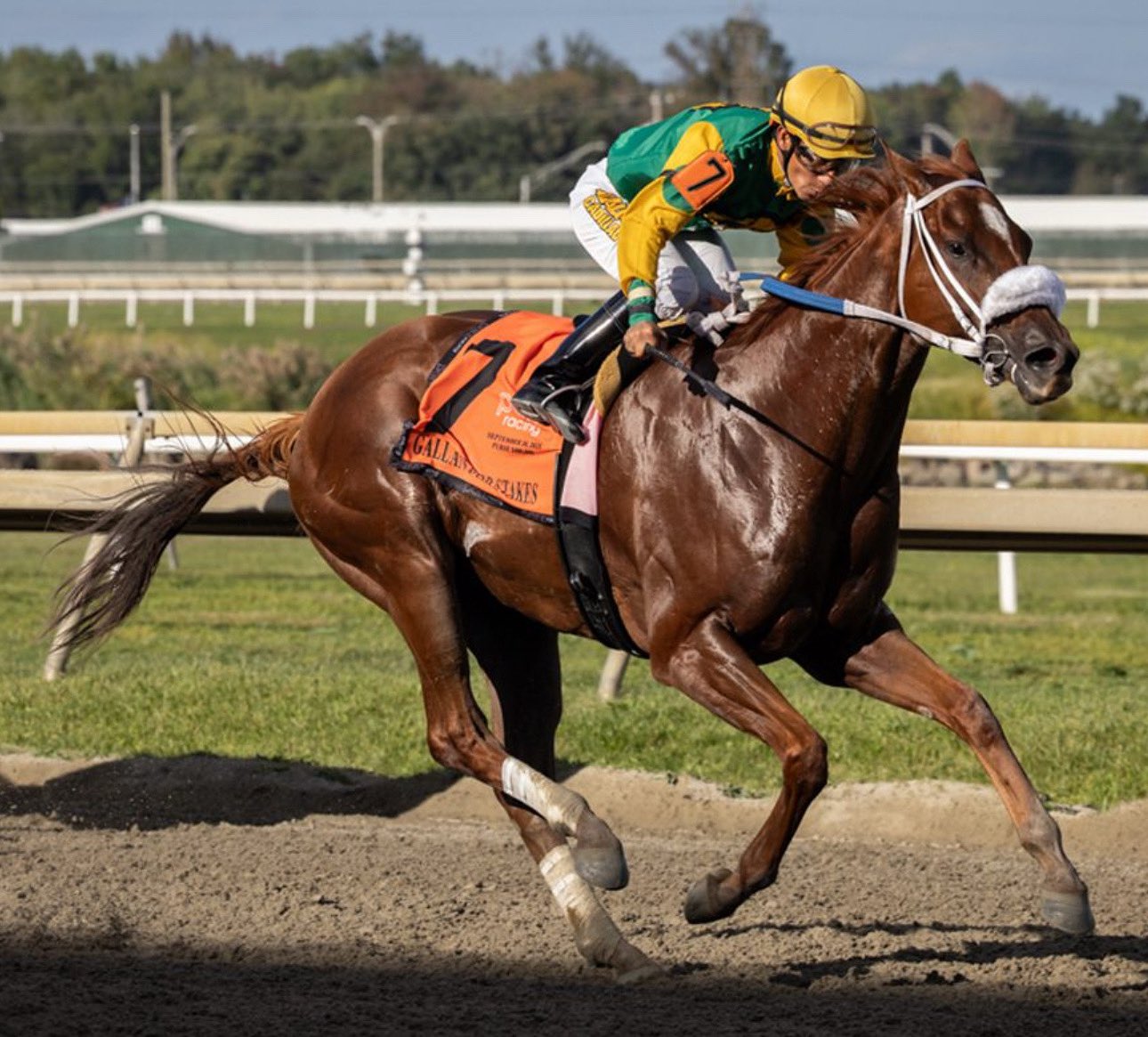 Parx racing pronósticos: Marcas carreras americanas MasterBets365.com