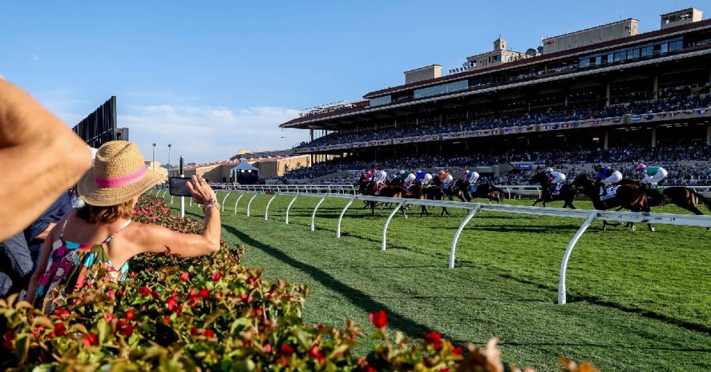 Datos para Del Mar hoy 9 de noviembre MasterBets365 hipodromos internacionales